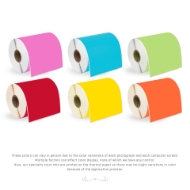 Picture of Zebra - 4x6 Combo Pack  (6 Rolls - YOUR CHOICE -Blue, Green, Yellow, Red, Orange, Pink- BEST VALUE)