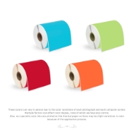 Picture of Zebra - 4x6 Combo Pack  (6 Rolls - YOUR CHOICE -Blue, Green, Yellow, Red, Orange, Pink- BEST VALUE)